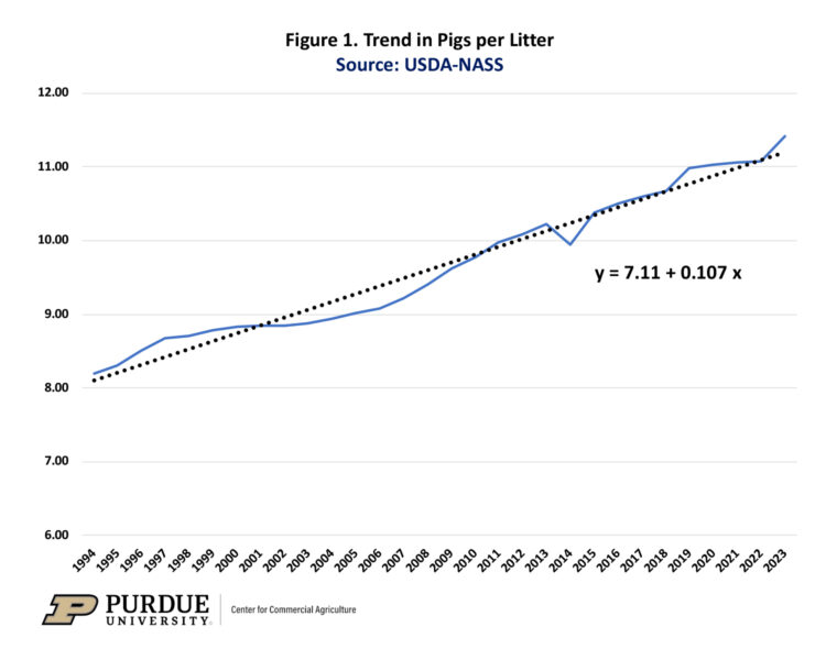 Figure 1. Trend in Pigs per Litter