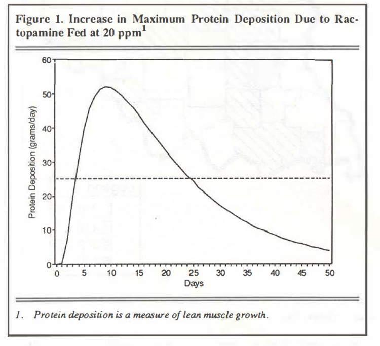 Figure 1. Increase in Maximum Protein Deposition Due to Ractopamine Fed at 20 ppm