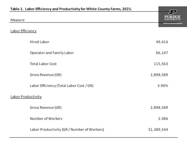 Table 1.  Labor Efficiency and Productivity for White County Farms, 2021.