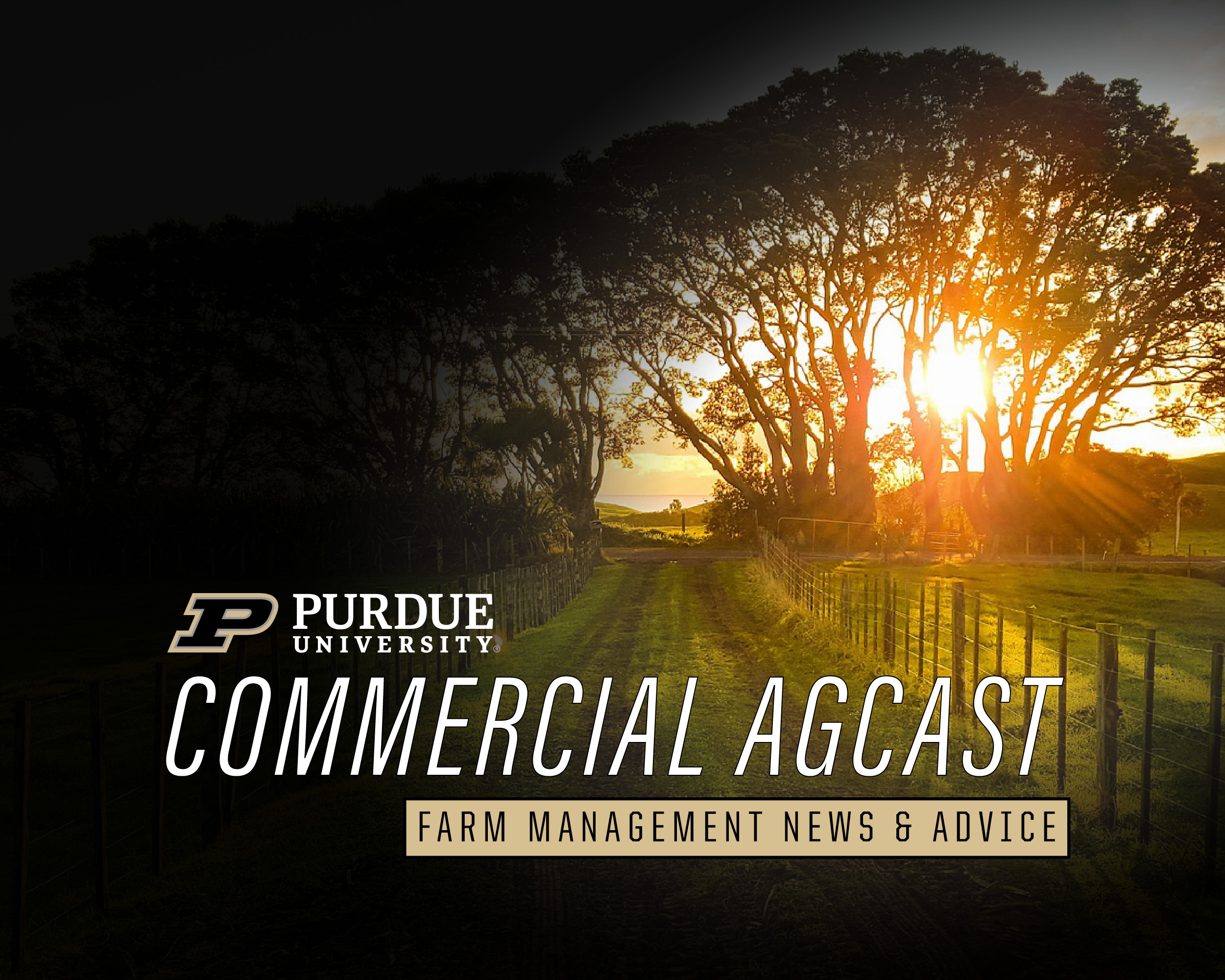 Purdue Commercial AgCast Podcast