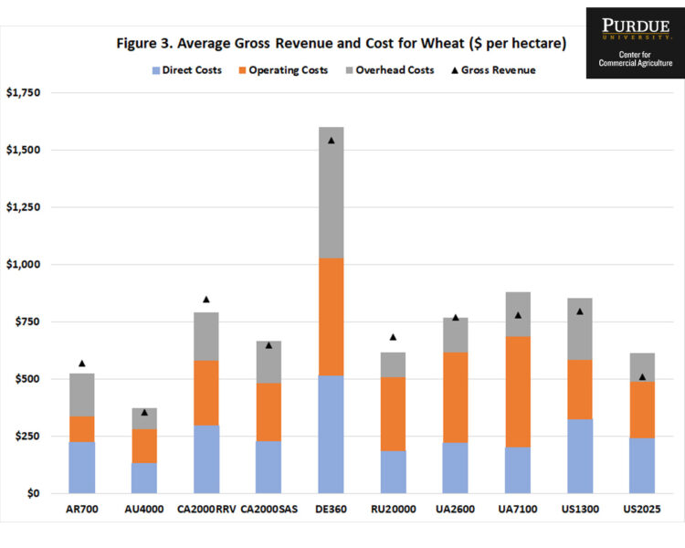 Figure 3. Average Gross Revenue and Cost for Wheat ($ per hectare) 