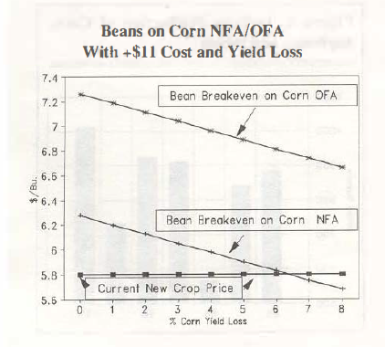 Figure 3. Beans on Corm NFA/OFA WIth +$11 Cost and Yield Loss