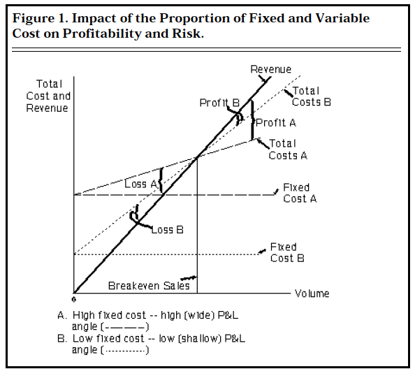 Figure 1. Impact of the Proportion of Fixed and Variable Cost on Profitability