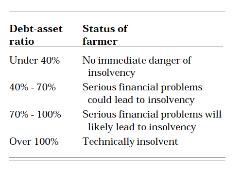 Debt-Asset Ratio Guidelines