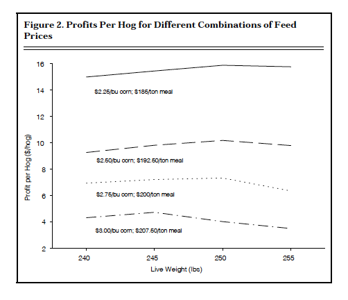 Figure 2. Profits Per Hog for Different Combinations of Feed Prices