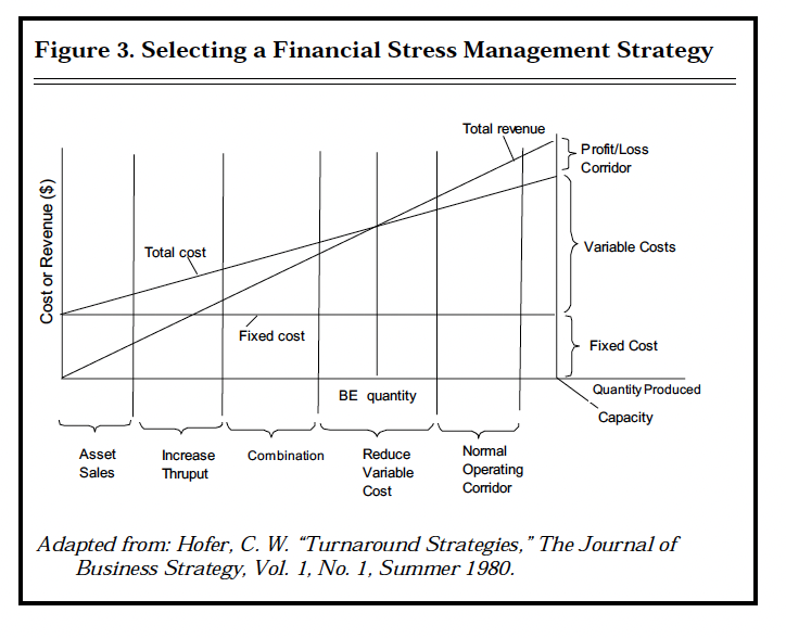 Figure 3. Selecting a Financial Stress Management Strategy