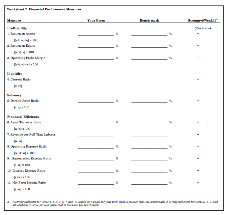 Worksheet 2. Financial Performance Measures