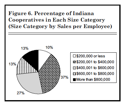 Figure 6. Percentage of Indiana Cooperatives in Each Size Category (Size Category by Sales per Employee)