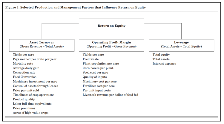 Figure 2. Selected Production and Management Factors that Influence Return on Equity