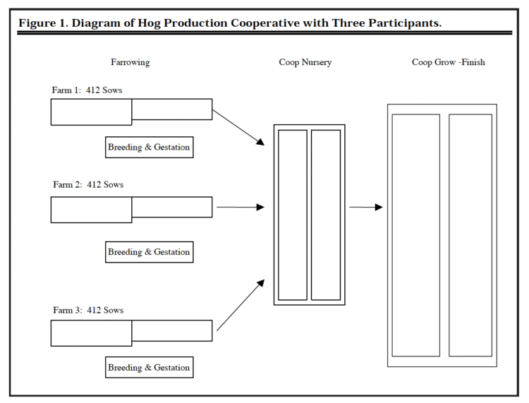 Figure 1. Diagram of Hog Production Cooperative with Three Participants.
