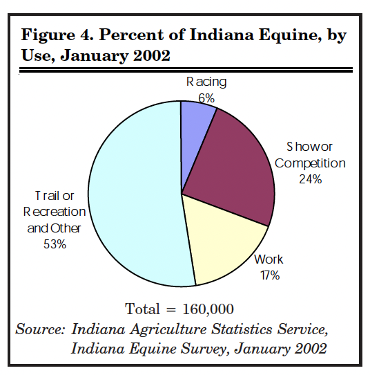 Figure 4. Percent of Indiana Equine, by Use, January 2002