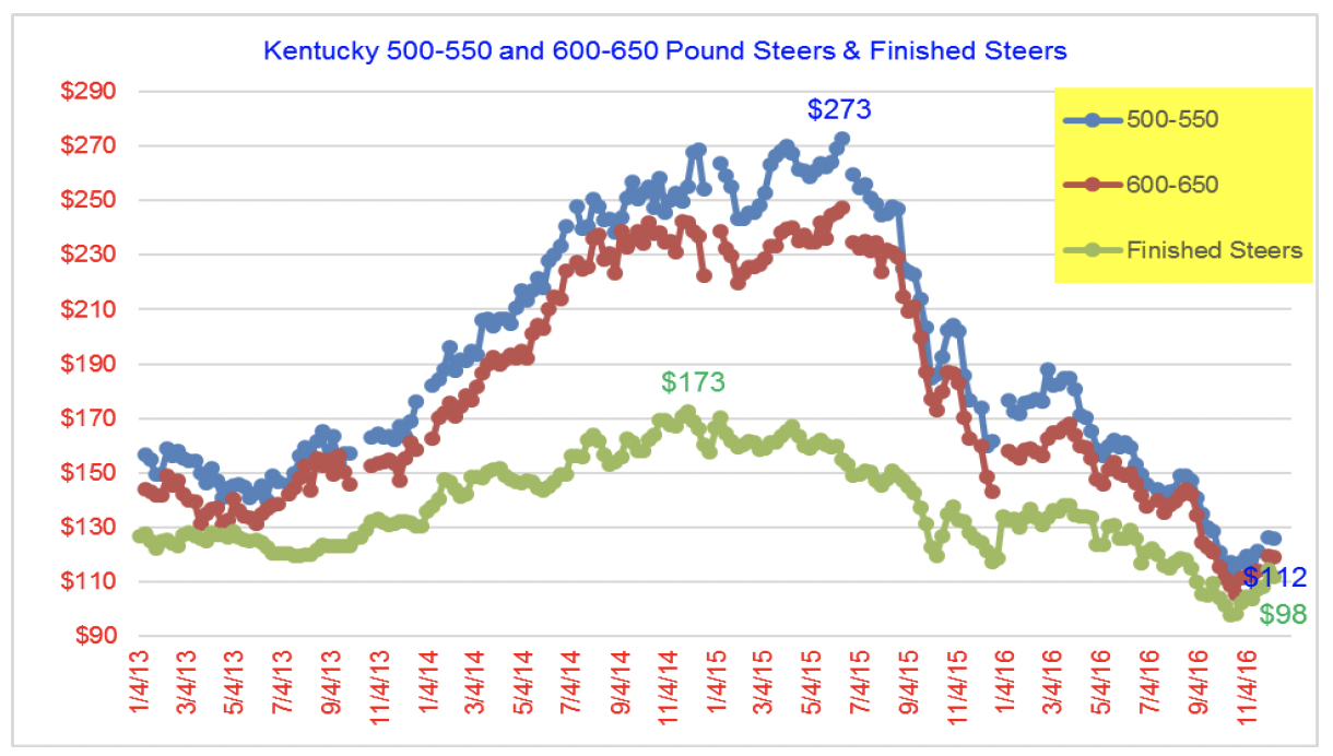 Another Difficult Year for Beef Cattle Producers