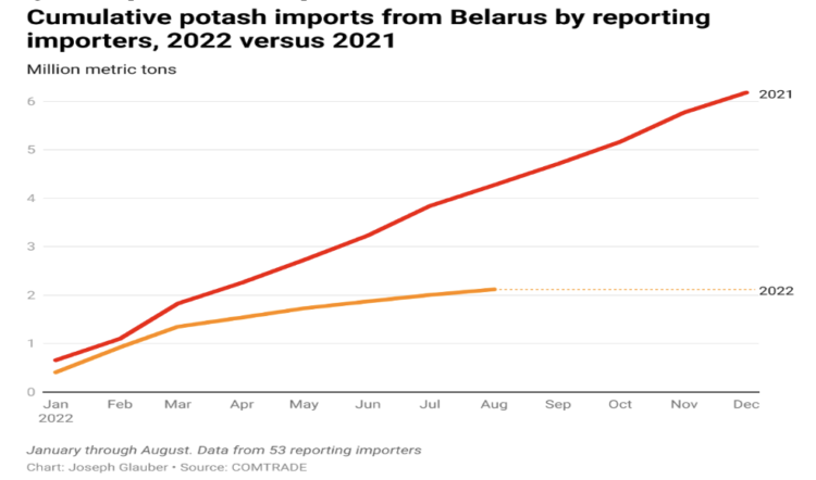Figure 2.  Imputed Belarusian exports of Potash, Year-to-date 2021 vs. 2022. Source: Glauber and Laborde (2022)
