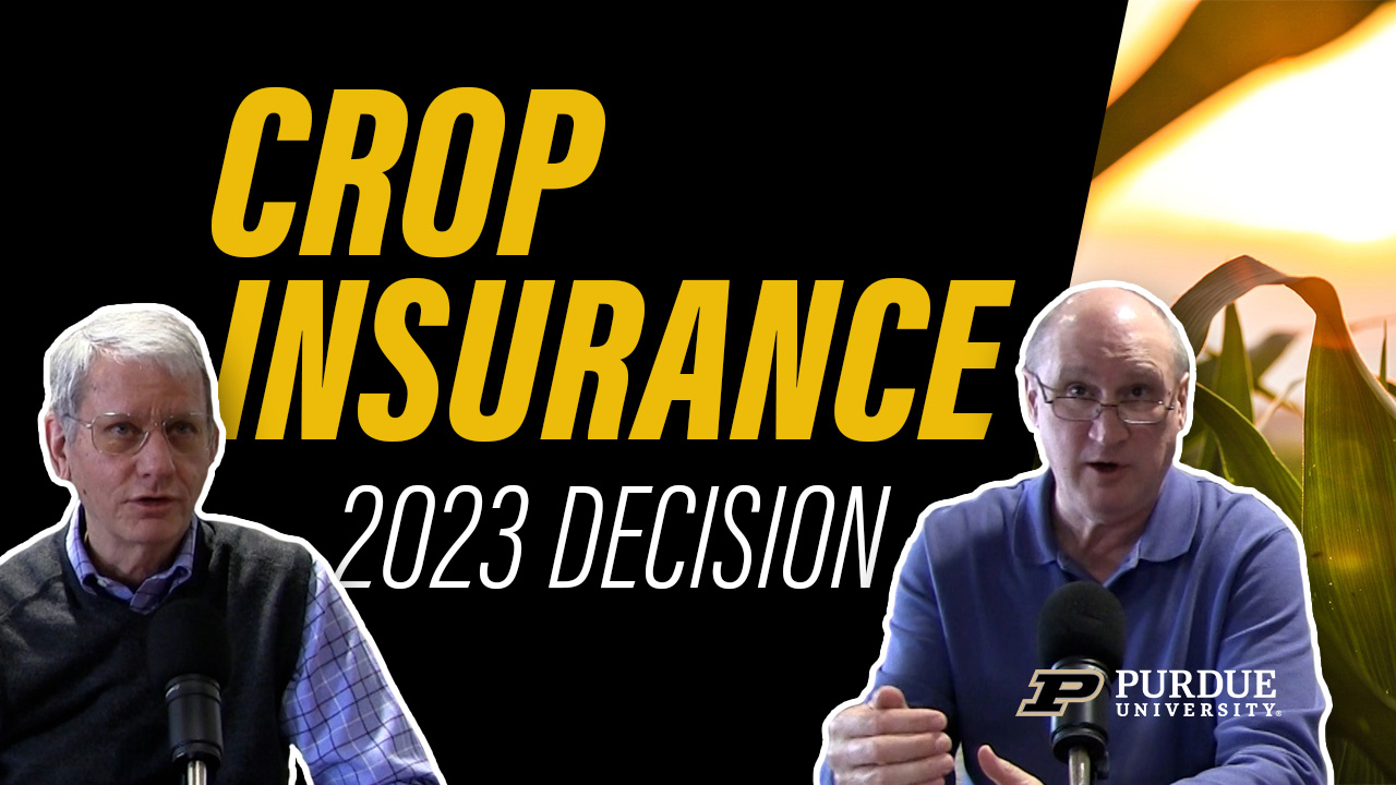 Crop Insurance 2023 Decision text with James Mintert and Michael Langemeier's photos in front of a corn field at sunset used as thumbnail image for video of Purdue Commercial AgCast podcast episode