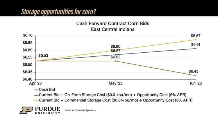Cash Forward Contact Corn Bids, East Central Indiana