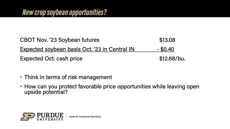 New crop soybean opportunities slide