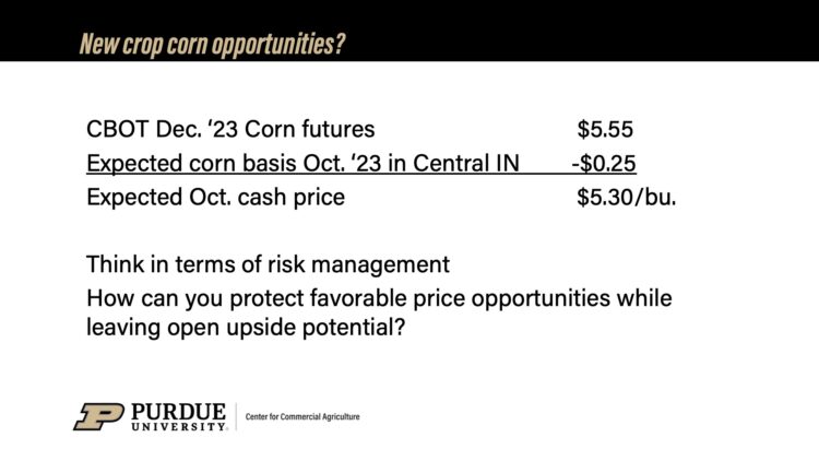 New crop corn opportunities slide