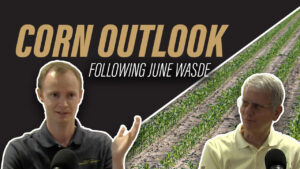 Corn Outlook Update Following USDA's June WASDE Report video podcast thumbnail with Nathan Thompson and James Mintert in front of a field of young corn