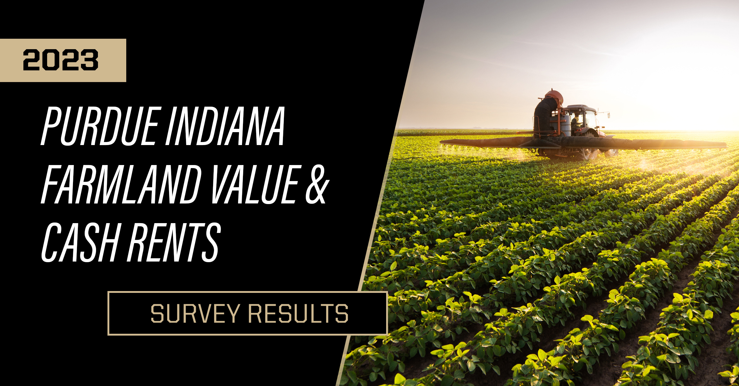 Purdue Indiana Farmland Values & Cash Rental Rates Survey Report, Purdue Agricultural Economics Report: August 2023