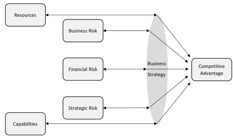 Figure 1: Integrated Risk Management 