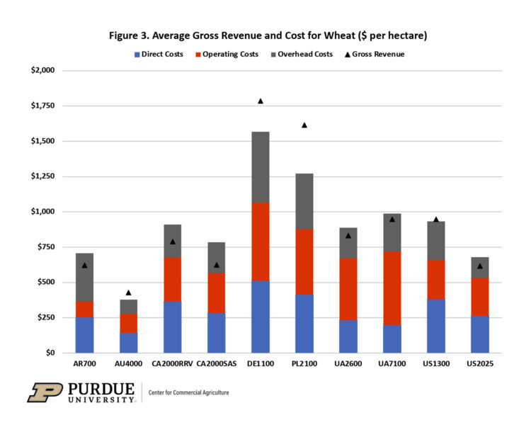 Figure 3. Average Gross Revenue and Cost for Wheat ($ per hectare)