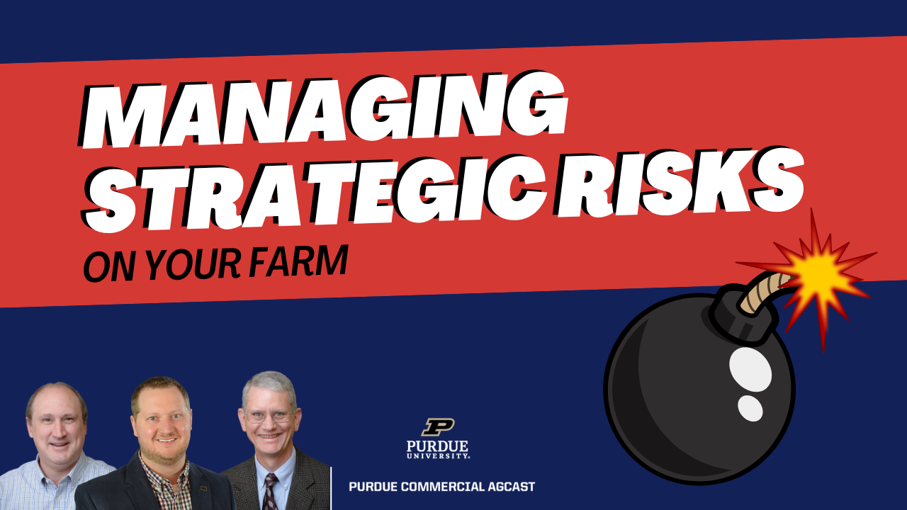 Managing Strategic Risks Series - Thumbnail feature image
