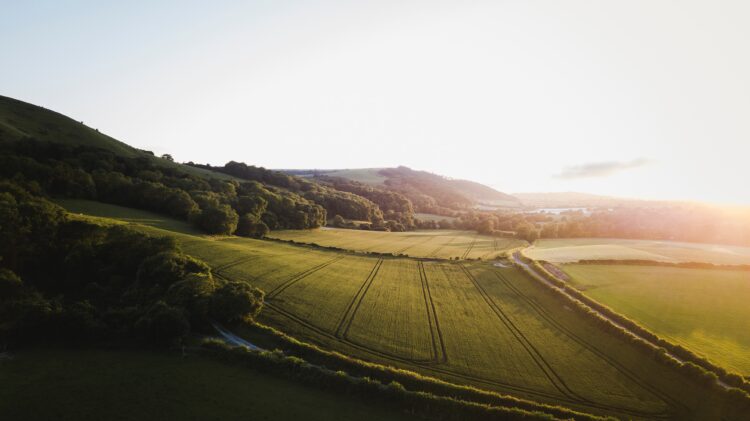 Farmland with hills in distance at daybreak