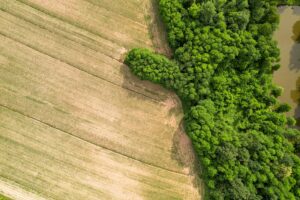 aerial view of crop field next to trees near creek
