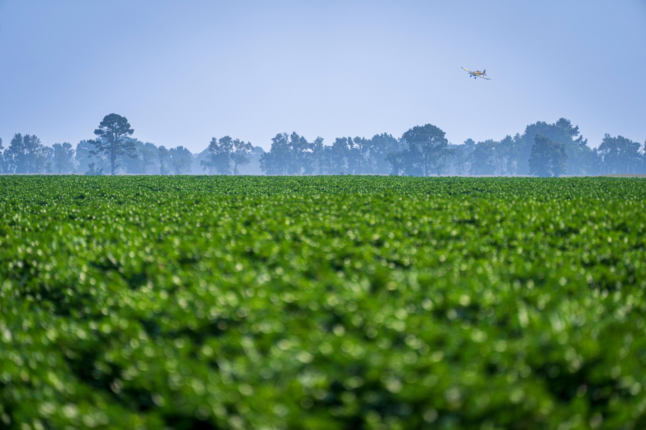 crop dusting plane