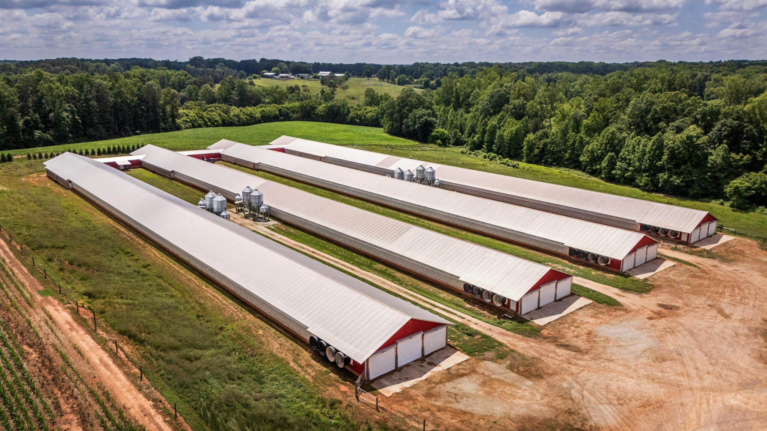livestock, hog buildings