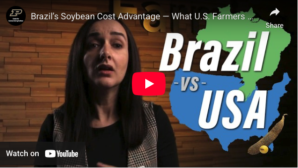 Joana Colussi in a Purdue Commercial AgBrief clip - short video series from the Purdue Center for Commercial Agriculture.