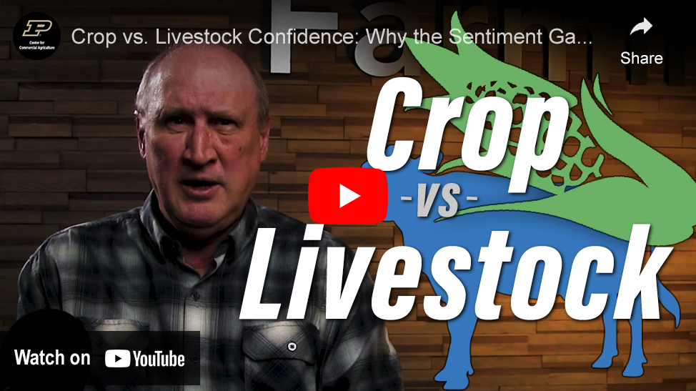 Michael Langemeier in a Purdue Commercial AgBrief clip - short video series from the Purdue Center for Commercial Agriculture. Crop vs. Livestock