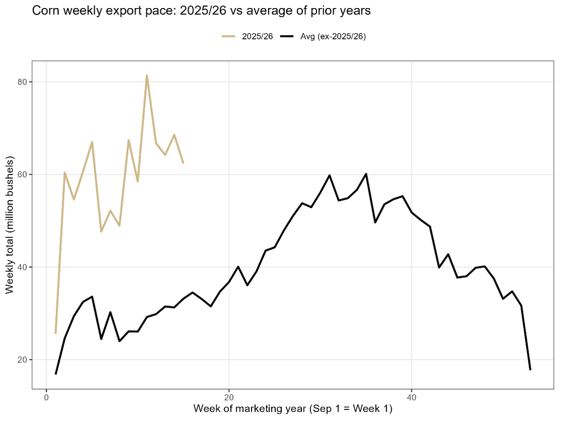 Figure 4 is made up of two graphs. The first graph depicts the corn weekly export pace for 2025 and 2026 and the average of previous years
