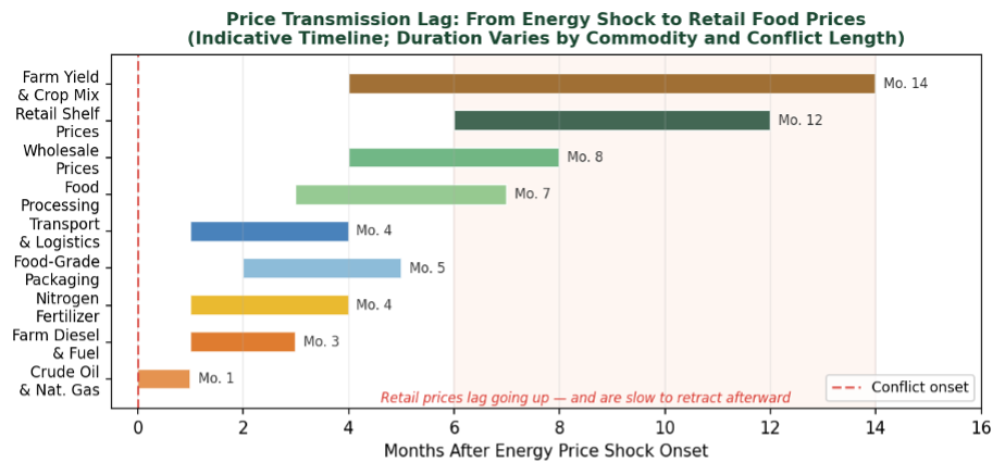 Figure two is a horizontal stacked bar chart representing the price transmission timeline from energy shock onset to retail food prices.