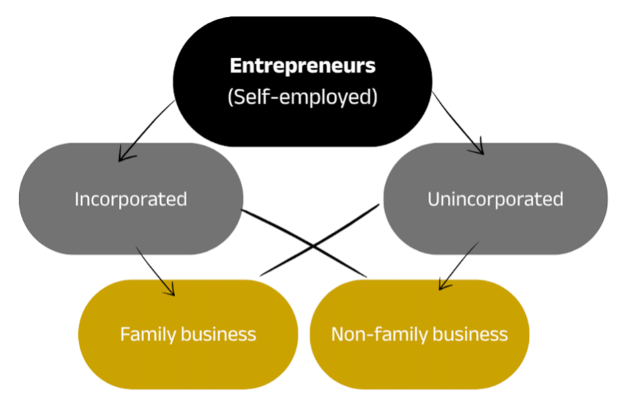 A diagram of an entrepreneurial business structure.