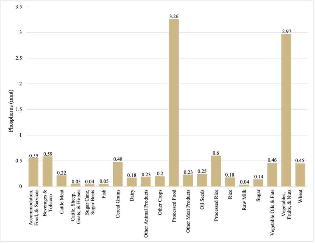 Bar chart with the scale of phosphorus (mmt) on the y-axis and sectors on the x-axis. Full data set: accomodation, food, and services 0.55; beverages & tabacco 0.59; cattle meat 0.22; cattle, sheep, goats, & horses 0.05; sugar canes, sugar beets 0.04; fish 0.05; cereal grains 0.45; dairy 0.18; other animal products 0.23; other crops 0.2; processed foods 3.26; other meat products 0.23; oil seeds 0.25; processed rice 0.6; raw milk 0.04; sugar 0.14; vegetables oil & fats 0.46; vegetables, fruits, & nuts 2.97; wheat 0.45.