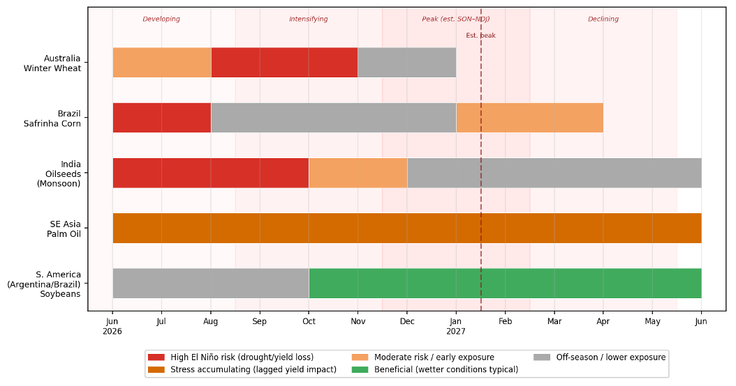 Horizontal bar chart showing El Niño risk exposure by crop system from June 2026 through June 2027. The vertical axis lists five crop systems from top to bottom: Australia Winter Wheat, Brazil Safrinha Corn, India Oilseeds (Monsoon), SE Asia Palm Oil, and South America (Argentina and Brazil) Soybeans. The horizontal axis shows monthly periods from June 2026 to June 2027. Each crop system's bar is segmented by color to indicate the degree of El Niño-related risk during each period: red indicates high drought or yield-loss risk; orange indicates stress accumulating with a lagged yield impact; light orange indicates moderate or building risk; green indicates typically beneficial wetter conditions; and gray indicates off-season or lower exposure. The background is shaded in progressively deeper pink tones to indicate the El Niño intensity phase: developing June through August, intensifying September through November, peak estimated at September through January, and declining thereafter. A vertical dashed maroon line marks the estimated El Niño peak period. Red italic labels across the top of the chart identify each intensity phase. Australia Winter Wheat shows high red risk during grain fill from August through October. Brazil Safrinha Corn shows high red risk during grain fill in June and July. India Oilseeds shows high red risk throughout the monsoon growing season from June through September. SE Asia Palm Oil shows orange stress accumulation across the entire period. South America Soybeans shows green beneficial conditions from October 2026 through June 2027.