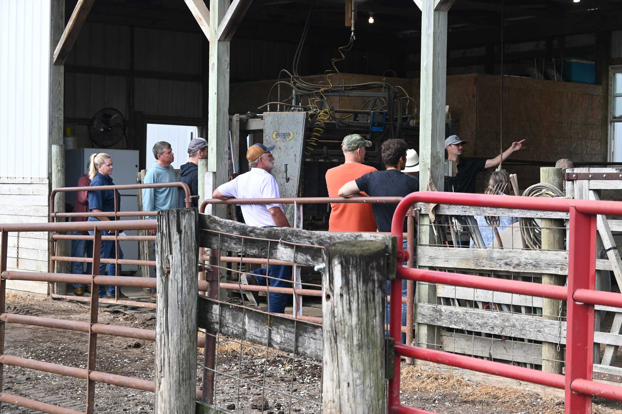 cattle shoot and coral at Jmax Cattle in Harrison County, Indiana during the Purdue Farm Management Tour