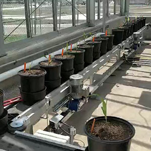 Controlled Environment Phenotyping Facility