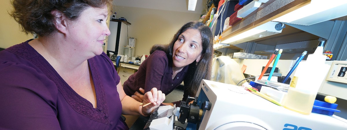 graduate faculty performing lab research at Purdue University