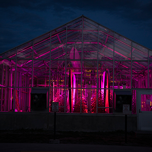 greenhouse at night