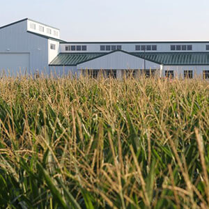 Indiana Corn and Soybean Innovation Center