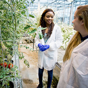 woman in a greenhouse