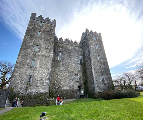 students in ireland