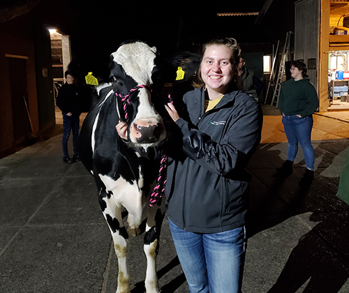 miriam cook with cow