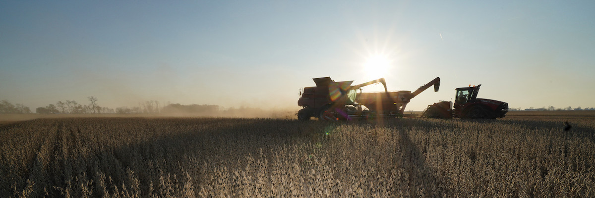 Farming technology harvesting wheat in the sunset