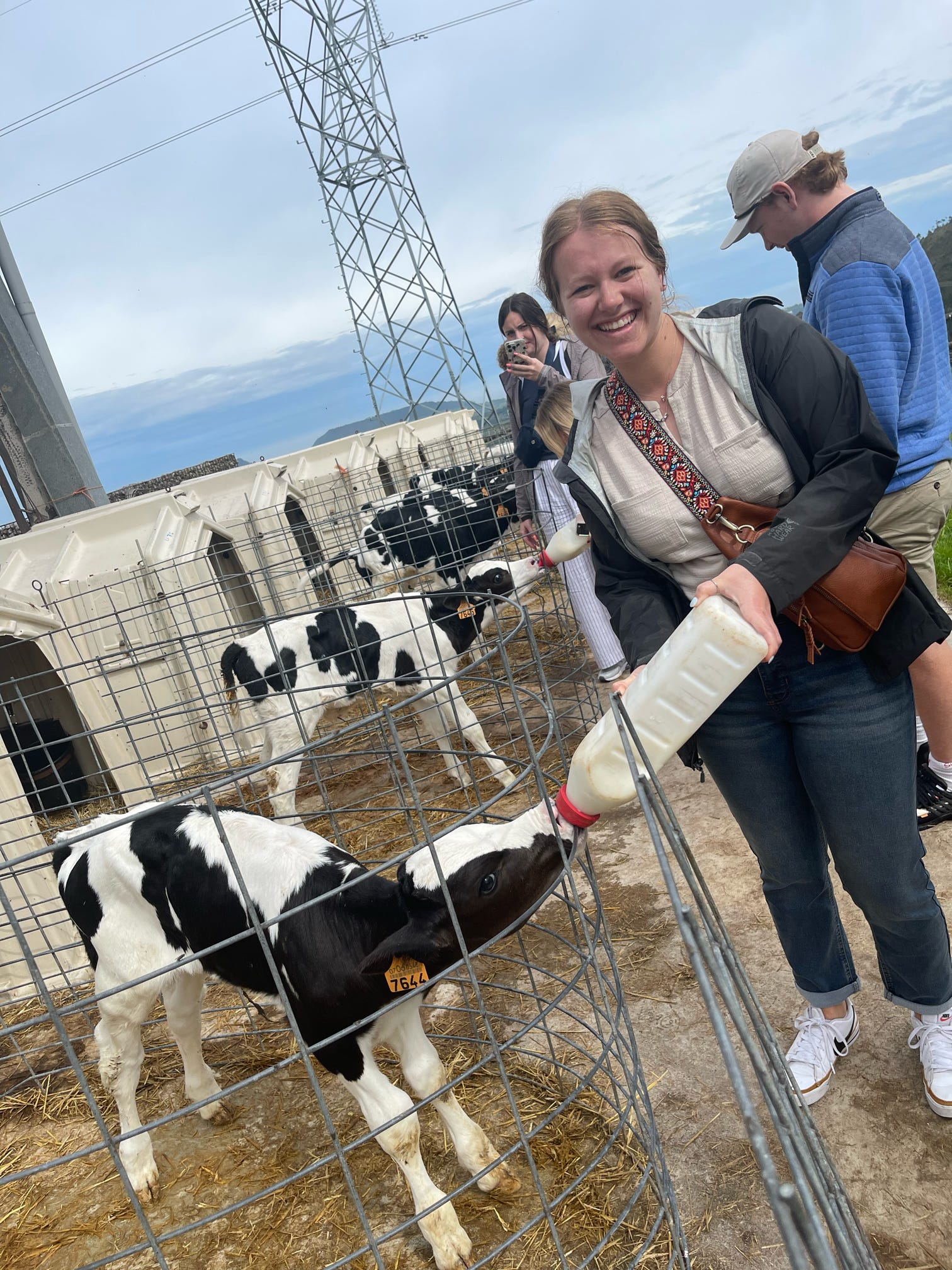 Taryn feeding calves in Spain