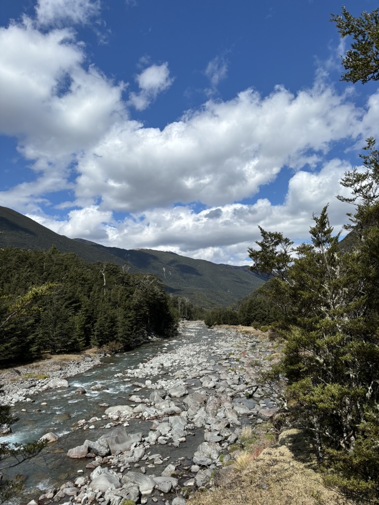 New Zealand scenery