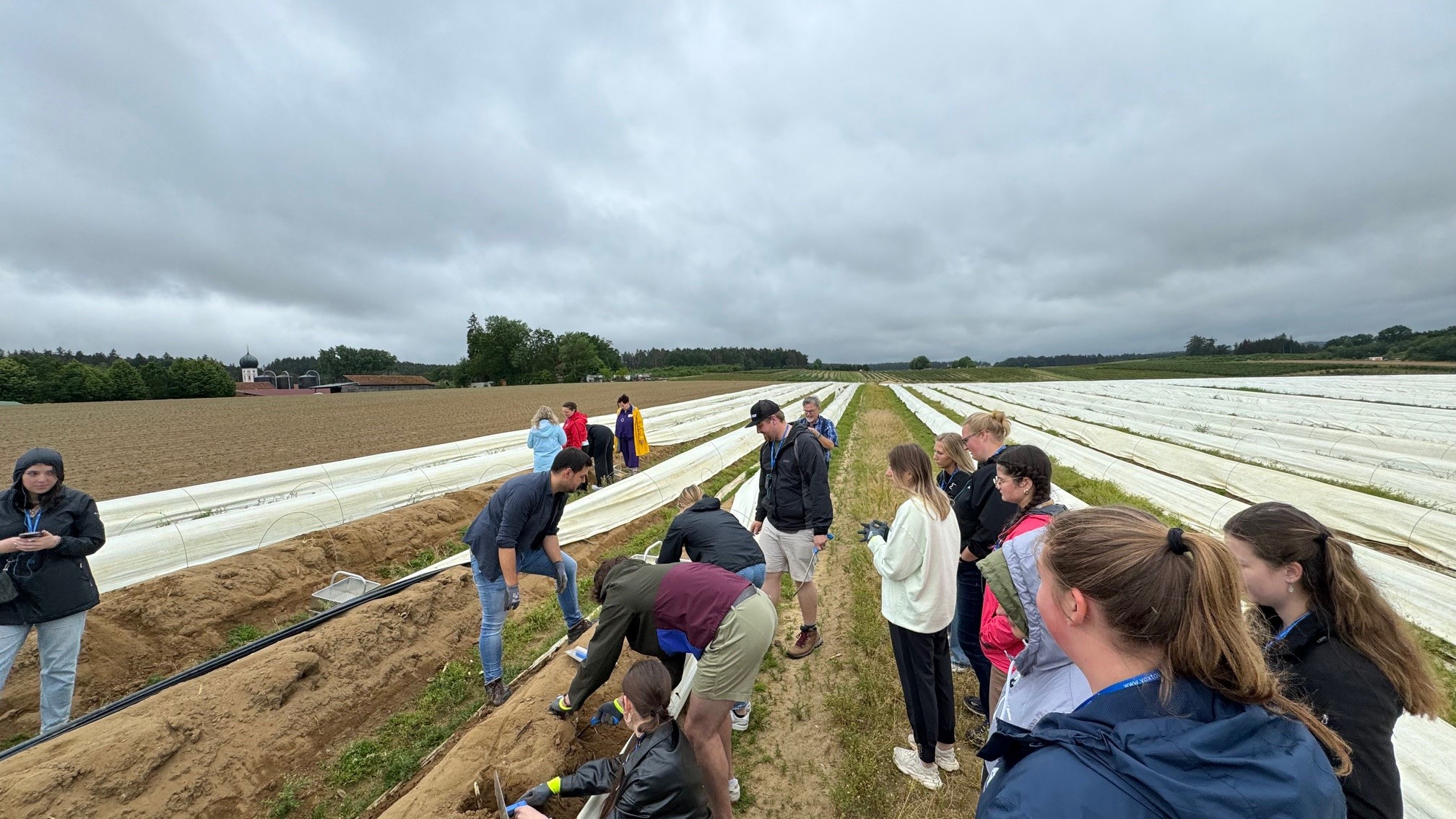 Production ag in Austria