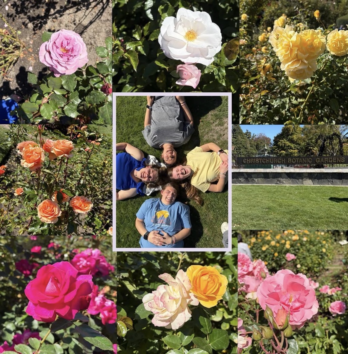 Colorful roses surrounding four friends lying head-to-head on grass at Christchurch Botanic Gardens